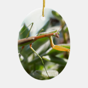 Praying Mantis Insect Ceramic Tree Decoration