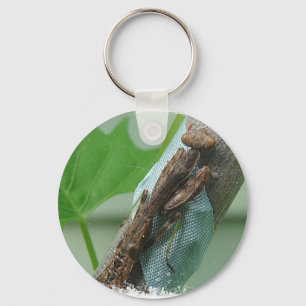 Praying Mantis Insect Key Ring