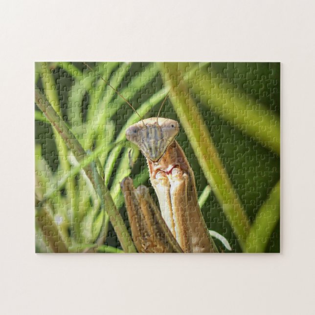 Praying Mantis Jigsaw Puzzle (Horizontal)