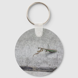 Praying mantis Key chain