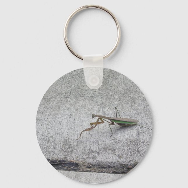 Praying mantis Key chain (Front)