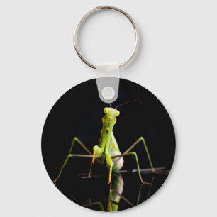 Praying mantis key ring