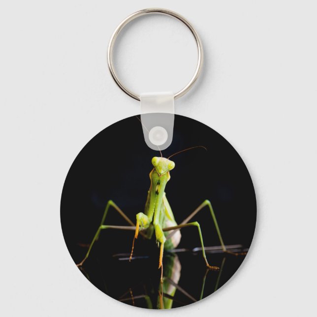 Praying mantis key ring (Front)
