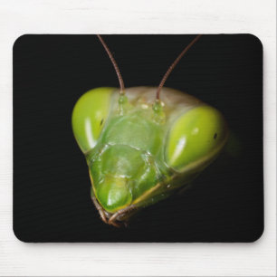 Praying mantis mouse pad