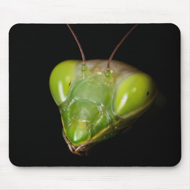 Praying mantis mouse pad (Front)