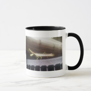 Praying Mantis Mug