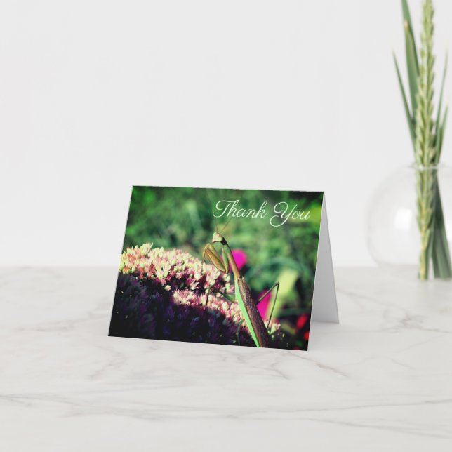 Praying Mantis Nature Customisable Thank You Card (Front)