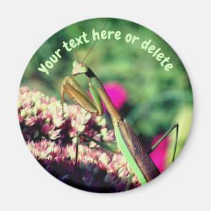 Praying Mantis Nature Personalized Magnet