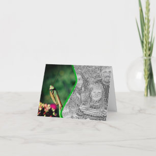 Praying Mantis Nature Photo Card
