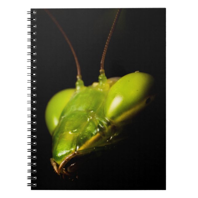 Praying mantis notebook (Front)