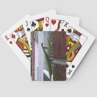Praying Mantis on Brick Wall Playing Cards