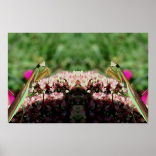 Praying Mantis On Flower Mirror Nature Abstract Poster