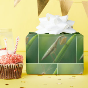 Praying Mantis On Grass Wrapping Paper