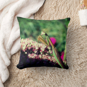 Praying Mantis On Sedum Flower Close Up  Cushion