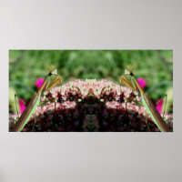 Praying Mantis On Sedum Flower Mirror Abstract