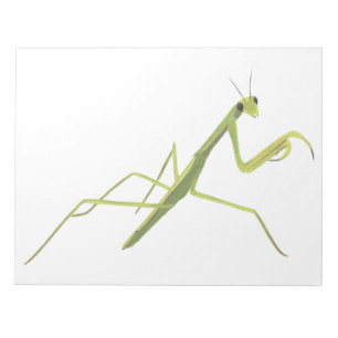 Praying Mantis Painting Notepad