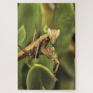 Praying Mantis Portrait Insect Art Jigsaw Puzzle
