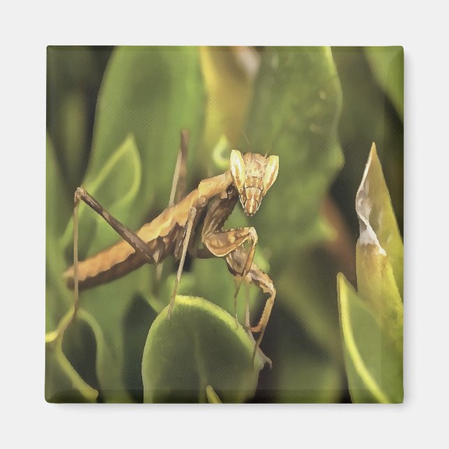 Praying Mantis Portrait Insect Art  Magnet (Front)