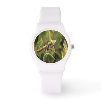 Praying Mantis Portrait Insect Art Watch