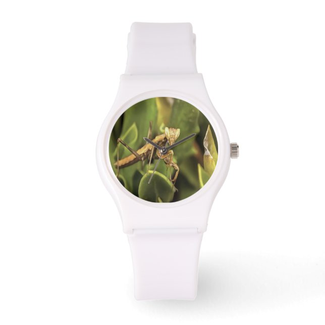 Praying Mantis Portrait Insect Art  Watch (Front)
