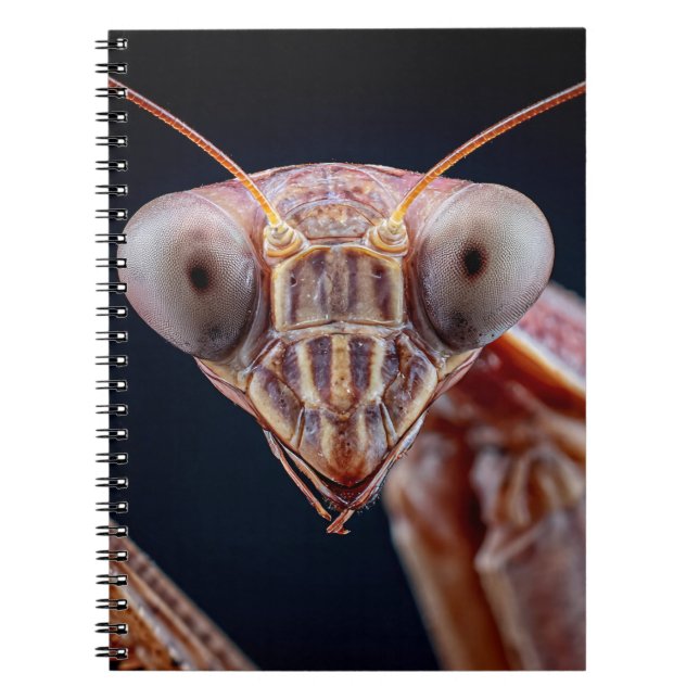 Praying Mantis Portrait Notebook (Front)