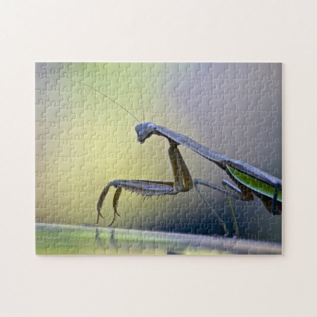 Praying Mantis Puzzle (Horizontal)