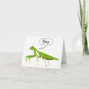 Praying Mantis Says Hey Notecard