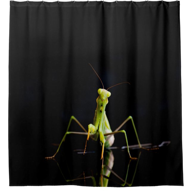 Praying mantis shower curtain (Front)