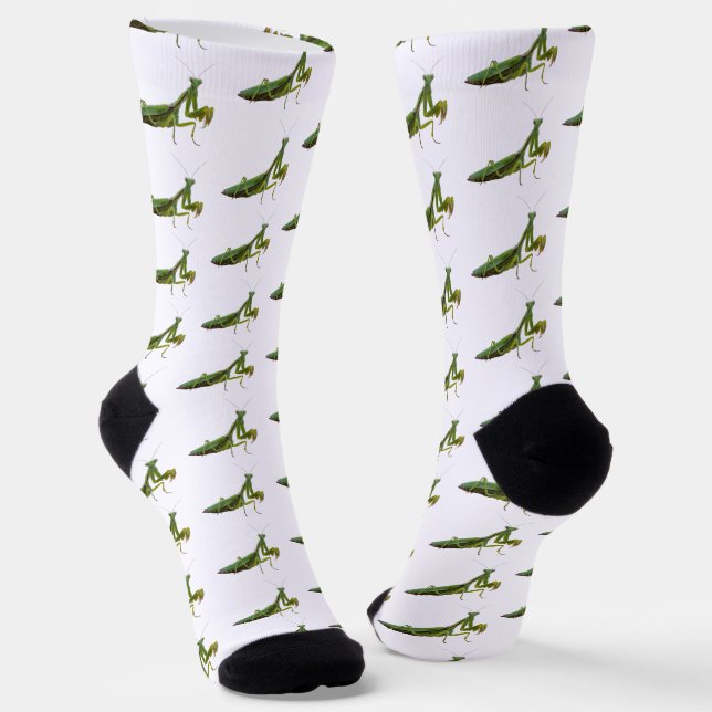 Praying Mantis Socks (Angled)