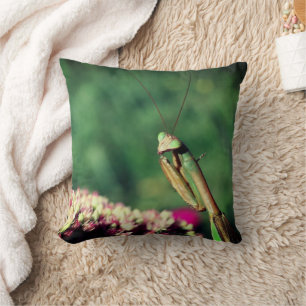 Praying Mantis Up Close   Cushion