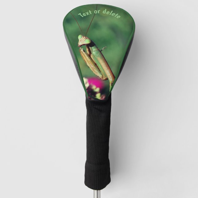 Praying Mantis Up Close Personalised Golf Head Cover (Front)