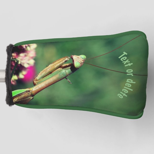 Praying Mantis Up Close Personalised Golf Head Cover (Front)