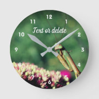 Praying Mantis Up Close Personalised