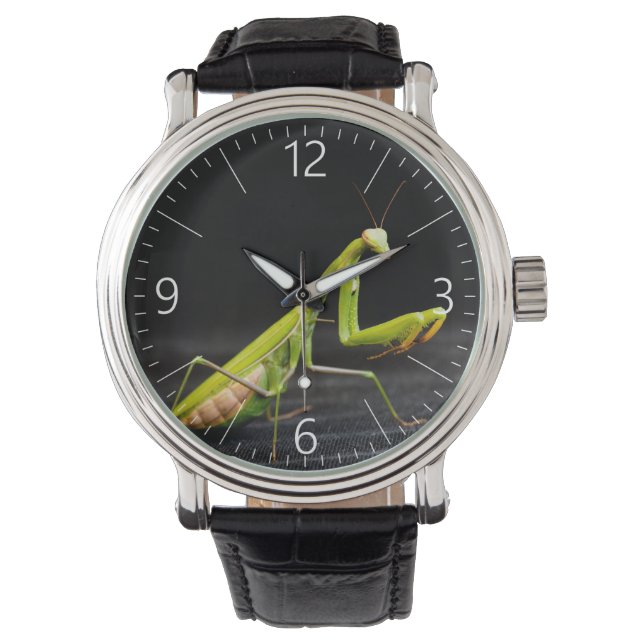 Praying mantis watch (Front)