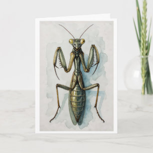 Praying Mantis watercolor painting insect art Card
