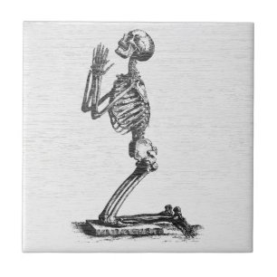 Praying Skeleton - Vintage Anatomical Art Tile