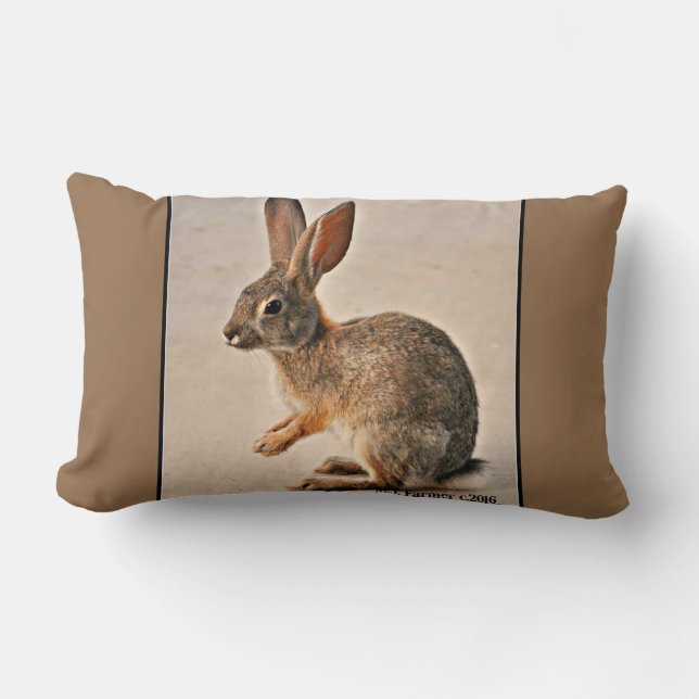 Praying Sonoran Bunny Lumbar Accent Pillow (Front)