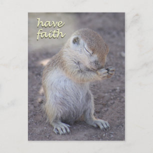 Praying Squirrel Post Card