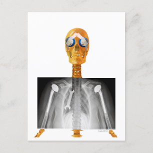 Pre-addressed Postcard to Trump re Trumpcare