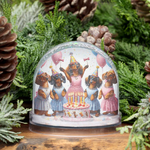 Pre Teen Birthday Annouuncement Snowglobe