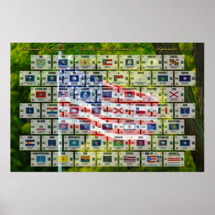 Preamble Perfection - U.S. Constitution Poster