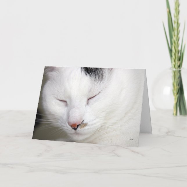 Precious 2, Get Well Soon Card (Front)