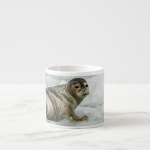 Precious Baby Seal Espresso Cup