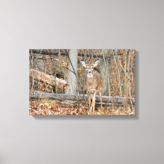 Precious Canvas Print