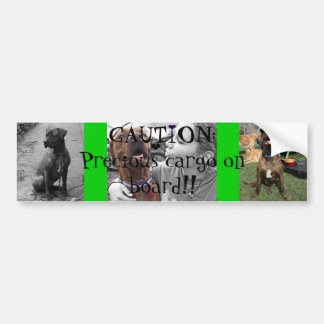 Precious Cargo Bumper Sticker