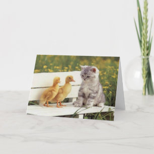 Precious Cats, Kittens Cards, Gifts - Customise! Card