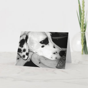 Precious Dalmation Card