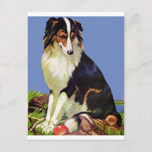 Precious Family Pet Postcard