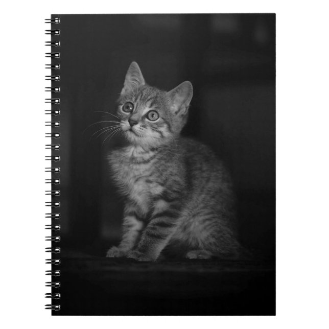 Precious Kitten Notebook (Front)