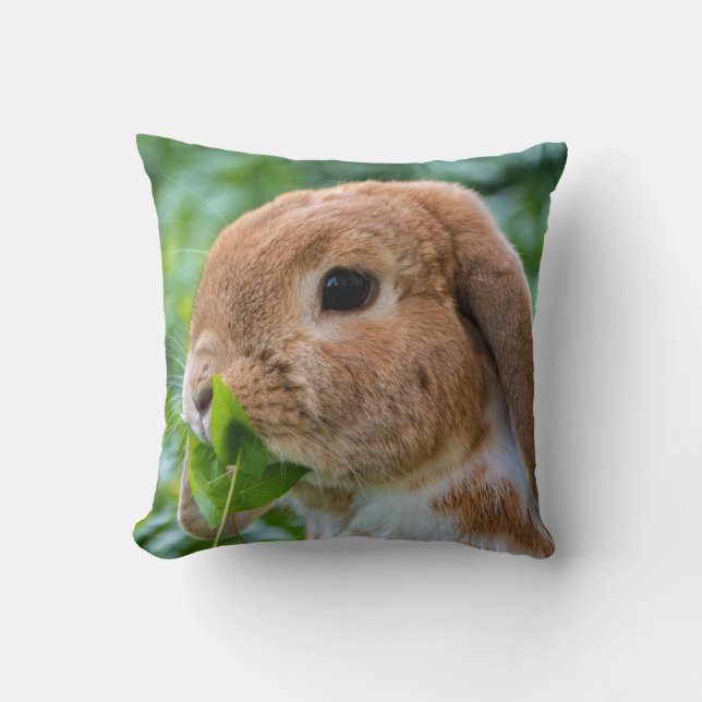Precious Mini Lop Bunny Cushion (Front)